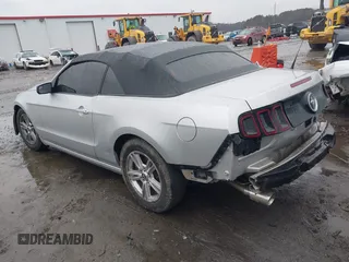 2013 Ford Mustang V6 with VIN 1ZVBP8EM4D5217006, listed as a IAAI auction lot 41560921 with 95,877 mi miles and . Bid and sale history available at DreamBid. Image 3.