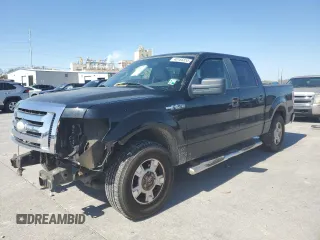 2009 Ford F-150 XL with VIN 1FTRW12849FA17019, listed as a Copart auction lot 48166855 with 185,040 mi miles and Salvage Title. Bid and sale history available at carsss.com. Image 1.