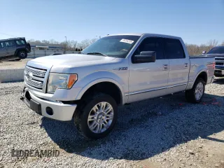 2009 Ford F-150 XL with VIN 1FTPW14V89FB39800, listed as a Copart auction lot 49265205 with 184,504 mi miles and Salvage Title. Bid and sale history available at carsss.com. Image 1.