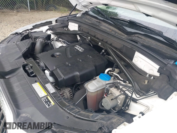 2013 Audi Q5 Premium Plus with VIN WA1LFAFP6DA008569, listed as a IAAI auction lot 42723906 with 120,466 mi miles and . Bid and sale history available at DreamBid. Image 10.