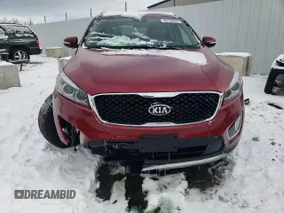 2018 Kia Sorento EX with VIN 5XYPHDA5XJG412494, listed as a Copart auction lot 45796095 with 86,049 mi miles and Salvage Title. Bid and sale history available at carsss.com. Image 14.