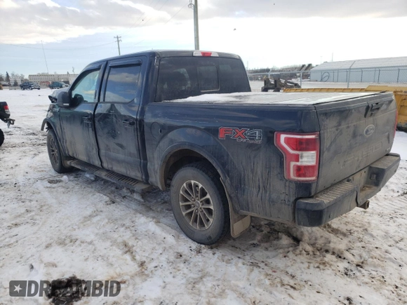 2019 Ford F-150 XL with VIN 1FTEW1EP9KKD61251, listed as a Copart auction lot 81344233 with 141,639 mi miles and Salvage title. Bid and sale history available at DreamBid. Image 2.