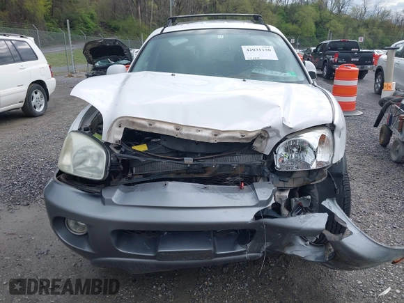 2004 Hyundai Santa Fe GLS with VIN KM8SC73D04U848820, listed as a IAAI auction lot 42031150 with 203,829 mi miles and . Bid and sale history available at DreamBid. Image 12.