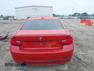 2016 BMW 2 Series 228i with VIN WBA1F9C54GV742703, listed as a IAAI auction lot 42209964 with 114,330 mi miles and . Bid and sale history available at DreamBid. Image 17.