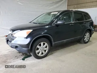 2009 Honda CR-V EX with VIN 5J6RE48589L023967, listed as a Copart auction lot 54907455 with 123,310 mi miles and Clean Title. Bid and sale history available at carsss.com. Image 1.