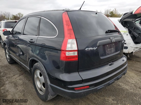2011 Honda CR-V LX with VIN 5J6RE4H33BL070229, listed as a Copart auction lot 80466484 with 240,983 mi miles and Salvage Title. Bid and sale history available at carsss.com. Image 2.