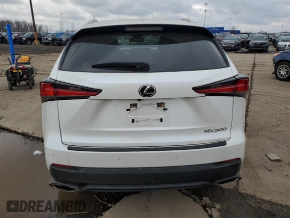 2020 Lexus NX with VIN JTJDARDZ8L5013269, listed as a Copart auction lot 84234364 with 47,464 mi miles and Non Repairable. Bid and sale history available at carsss.com. Image 6.