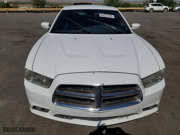 2013 Dodge Charger RT Plus with VIN 2C3CDXCT7DH516376, listed as a Copart auction lot 54274165 with 114,517 mi miles and Salvage Title. Bid and sale history available at carsss.com. Image 5.
