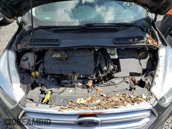 2017 Ford Escape SE z VIN 1FMCU0GDXHUE91333, wystawiony jako Copart lot #82061644 z przebiegiem Nie podano mil oraz Nie do naprawy • Non repairable. Historia ofert i sprzedaży dostępna na DreamBid. Obrazek 11.