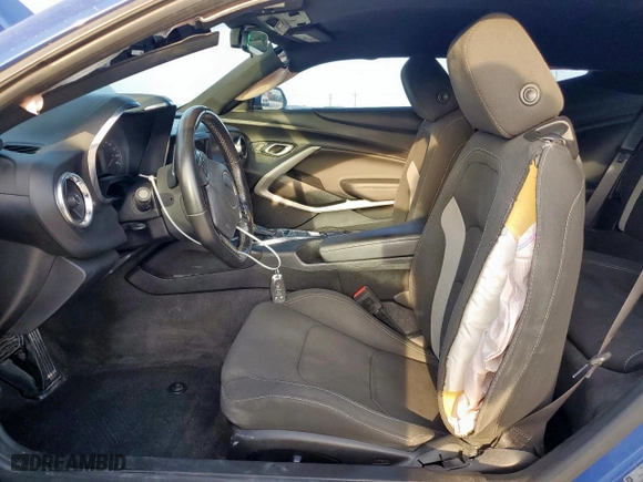 2019 Chevrolet Camaro 1LT with VIN 1G1FB1RS9K0136654, listed as a Copart auction lot 48824565 with 117,204 mi miles and Salvage Title. Bid and sale history available at carsss.com. Image 7.