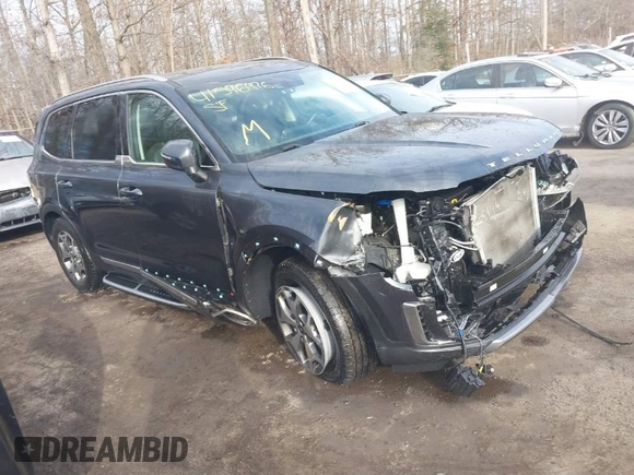 2021 Kia Telluride EX with VIN 5XYP3DHC8MG192246, listed as a IAAI auction lot 41596976 with 94,420 mi miles and . Bid and sale history available at DreamBid. Image 1.