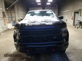 2022 Chevrolet Silverado 1500 Custom Trail Boss with VIN 3GCPDCED9NG673954, listed as a Copart auction lot 84696954 with 31,744 mi miles and Salvage Title. Bid and sale history available at DreamBid. Image 5.