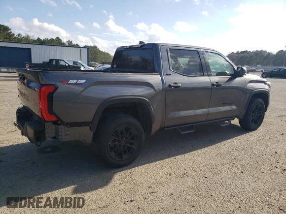 2023 Toyota Tundra SR5 with VIN 5TFLA5DB6PX105842, listed as a Copart auction lot 44166955 with 20,555 mi miles and Salvage title. Bid and sale history available at DreamBid. Image 3.