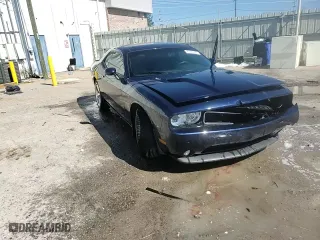 2013 Dodge Challenger R/T with VIN 2C3CDYBT3DH611444, listed as a Copart auction lot 45381905 with 115,727 mi miles and Salvage Title. Bid and sale history available at carsss.com. Image 13.