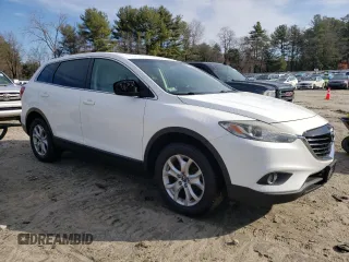 2014 Mazda CX-9 Touring with VIN JM3TB3CV4E0438812, listed as a Copart auction lot 50329845 with 266,731 mi miles and Clean Title. Bid and sale history available at carsss.com. Image 4.