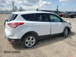 2013 Ford Escape SE with VIN 1FMCU9G96DUD66971, listed as a Copart auction lot 58507505 with 135,866 mi miles and Salvage title. Bid and sale history available at DreamBid. Image 3.
