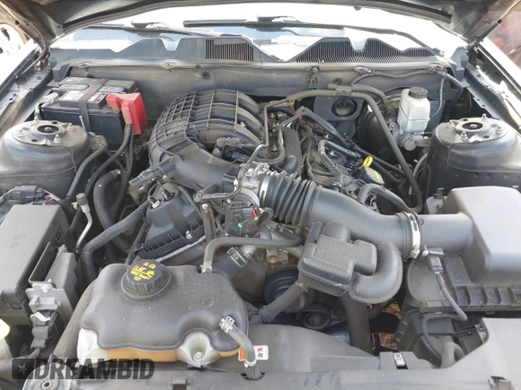 2013 Ford Mustang V6 with VIN 1ZVBP8AM4D5243305, listed as a IAAI auction lot 42162203 with 141,196 mi miles and . Bid and sale history available at DreamBid. Image 10.