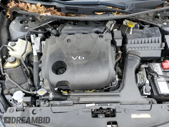 2022 Nissan Maxima SV with VIN 1N4AA6CV7NC505556, listed as a Copart auction lot 56204185 with 52,160 mi miles and Salvage title. Bid and sale history available at DreamBid. Image 11.