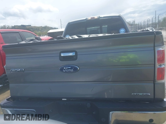 2012 Ford F-150 XL with VIN 1FTFX1EFXCFB13528, listed as a IAAI auction lot 42019861 with 185,837 mi miles and . Bid and sale history available at DreamBid. Image 17.