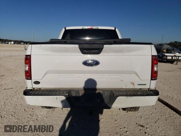 2019 Ford F-150 XL with VIN 1FTEW1C47KKF26805, listed as a Copart auction lot 86968404 with 67,962 mi miles and Salvage Title. Bid and sale history available at DreamBid. Image 6.