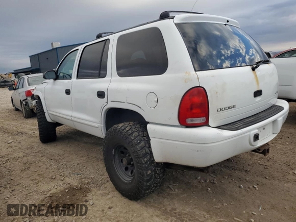 2000 Dodge Durango with VIN 1B4HS28Z1YF168392, listed as a Copart auction lot 89223475 with 299,799 mi miles and Salvage Title. Bid and sale history available at DreamBid. Image 2.