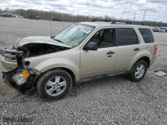 2010 Ford Escape XLT with VIN 1FMCU0D76AKA31358, listed as a Copart auction lot 49997695 with 0 mi miles and Salvage Title. Bid and sale history available at carsss.com. Image 1.