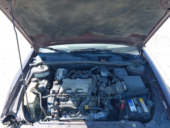1999 Chevrolet Malibu LS with VIN 1G1NE52M3XY126457, listed as a IAAI auction lot 41975578 with 196,255 mi miles. Bid and sale history available at carsss.com. Image 10.