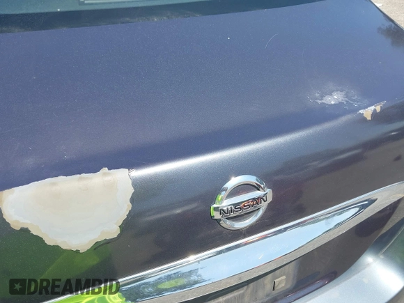2013 Nissan Maxima S with VIN 1N4AA5AP5DC843874, listed as a IAAI auction lot 42495096 with 250,093 mi miles and . Bid and sale history available at DreamBid. Image 18.
