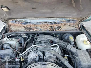 1998 Jeep Grand Cherokee Limited with VIN 1J4GZ78Y8WC261353, listed as a Copart auction lot 76605944 with 156,883 mi miles and Salvage Title. Bid and sale history available at carsss.com. Image 11.