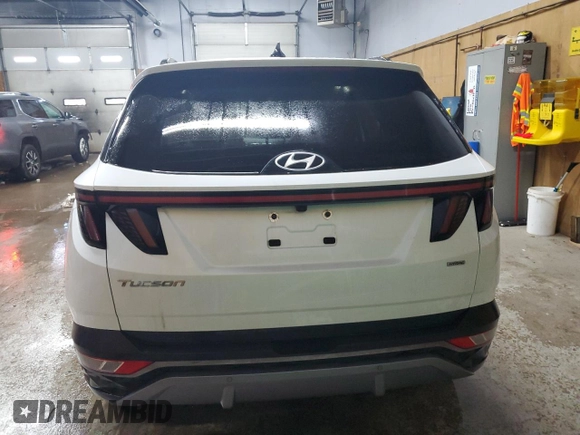 2022 Hyundai Tucson Limited with VIN 5NMJECAE7NH010601, listed as a Copart auction lot 84329044 with 22,564 mi miles and Non Repairable. Bid and sale history available at carsss.com. Image 6.