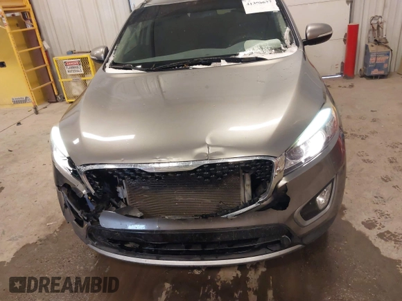 2017 Kia Sorento EX with VIN 5XYPH4A55HG202671, listed as a IAAI auction lot 41308627 with 129,085 mi miles and . Bid and sale history available at DreamBid. Image 6.