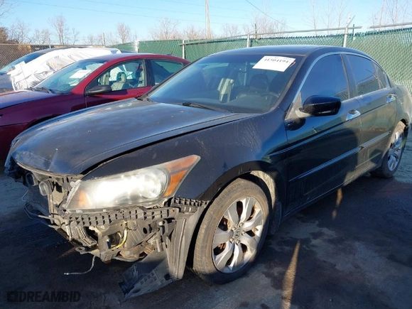 2010 Honda Accord Sdn EX-L with VIN 1HGCP3F88AA022185, listed as a IAAI auction lot 41504194 with 213174 miles. Bid and sale history available at carsss.com. Image 2.