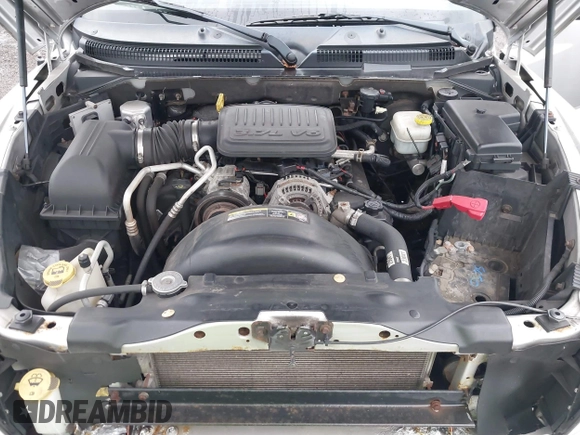 2008 Dodge Dakota SLT with VIN 1D7HW42KX8S560105, listed as a IAAI auction lot 41192410 with 99,097 mi miles and . Bid and sale history available at carsss.com. Image 10.