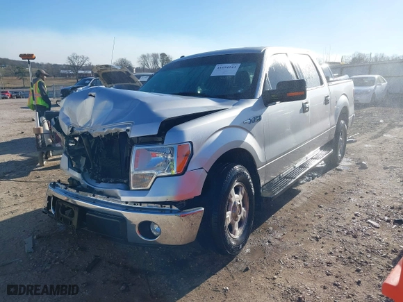 2013 Ford F-150 XL with VIN 1FTEW1CM4DFA94606, listed as a IAAI auction lot 41694243 with 250,025 mi miles. Bid and sale history available at carsss.com. Image 2.