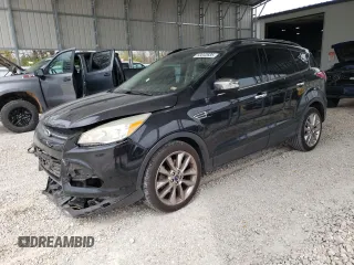 2014 Ford Escape SE with VIN 1FMCU0G91EUE12462, listed as a Copart auction lot 53032685 with 164,421 mi miles and Salvage Title. Bid and sale history available at carsss.com. Image 1.