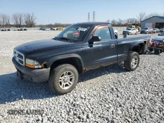 2004 Dodge Dakota with VIN 1D7GG16K54S588745, listed as a Copart auction lot 48946065 with 123,803 mi miles and Salvage Title. Bid and sale history available at carsss.com. Image 1.