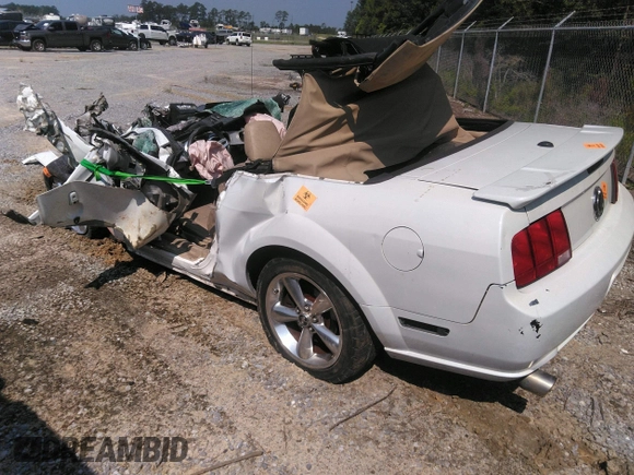2007 Ford Mustang GT Deluxe with VIN 1ZVHT85H675258234, listed as a IAAI auction lot 42519184 with Not provided miles and . Bid and sale history available at DreamBid. Image 3.