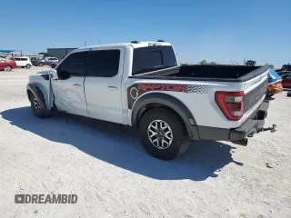 2023 Ford F-150 Raptor with VIN 1FTFW1RG1PFB24123, listed as a Copart auction lot 49594495 with 24,175 mi miles and Salvage Title. Bid and sale history available at DreamBid. Image 2.
