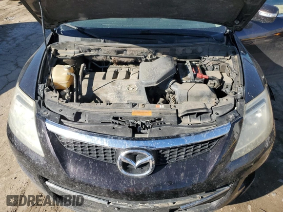 2009 Mazda CX-9 Touring with VIN JM3TB38A390170198, listed as a Copart auction lot 43619065 with 171,058 mi miles and Salvage Title. Bid and sale history available at carsss.com. Image 13.