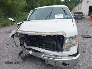 2014 Ford F-150 XL with VIN 1FTFW1EF3EFC43480, listed as a IAAI auction lot 42582431 with 134,382 mi miles and . Bid and sale history available at DreamBid. Image 6.