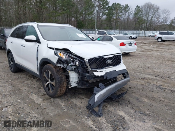 2017 Kia Sorento EX with VIN 5XYPH4A13HG294599, listed as a IAAI auction lot 41207089 with 41,642 mi miles and . Bid and sale history available at DreamBid. Image 6.