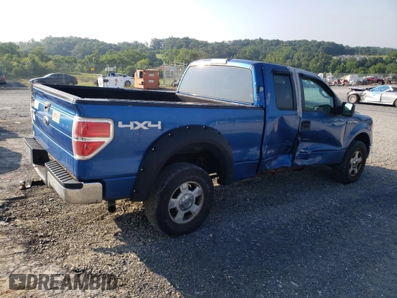 2010 Ford F-150 XL with VIN 1FTEX1E86AKB83433, listed as a Copart auction lot 64221855 with 294,443 mi miles and Salvage title. Bid and sale history available at DreamBid. Image 3.