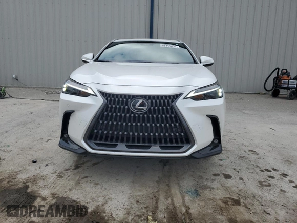 2024 Lexus NX 250 Premium with VIN 2T2GDCAZ3RC006908, listed as a Copart auction lot 88159635 with 20,109 mi miles and Salvage title. Bid and sale history available at DreamBid. Image 5.