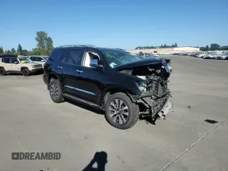 2019 Toyota Sequoia Limited with VIN 5TDJY5G11KS171719, listed as a Copart auction lot 69651034 with 0 mi miles and Salvage Title. Bid and sale history available at carsss.com. Image 11.