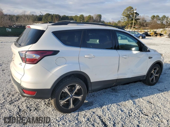 2017 Ford Escape SE with VIN 1FMCU0GD6HUB48986, listed as a Copart auction lot 43915415 with 122,465 mi miles and Salvage Title. Bid and sale history available at DreamBid. Image 3.