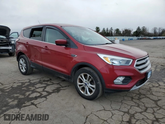 2017 Ford Escape SE with VIN 1FMCU0GD4HUA35103, listed as a Copart auction lot 50725215 with 123,937 mi miles and Salvage Title. Bid and sale history available at carsss.com. Image 4.
