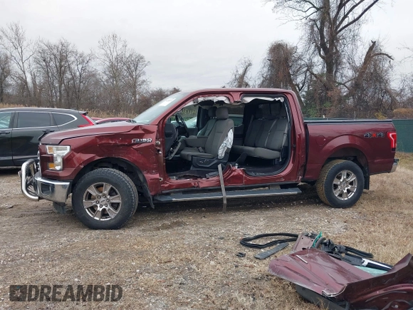 2017 Ford F-150 XL with VIN 1FTEW1EG9HFB75226, listed as a IAAI auction lot 41130292 with 125,205 mi miles. Bid and sale history available at carsss.com. Image 15.