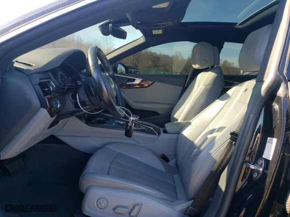 2019 Audi A5 Sportback Premium with VIN WAUANCF59KA056393, listed as a Copart auction lot 79187034 with NaN miles and Salvage Title. Bid and sale history available at carsss.com. Image 7.