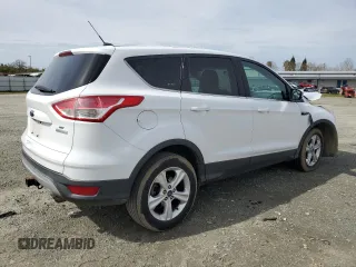 2014 Ford Escape SE with VIN 1FMCU0G93EUB17038, listed as a Copart auction lot 49819315 with 0 mi miles and Salvage Title. Bid and sale history available at carsss.com. Image 3.