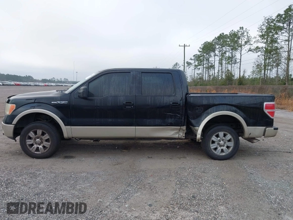 2009 Ford F-150 XL with VIN 1FTPW12VX9FB14223, listed as a IAAI auction lot 41526143 with 1 mi miles. Bid and sale history available at carsss.com. Image 14.